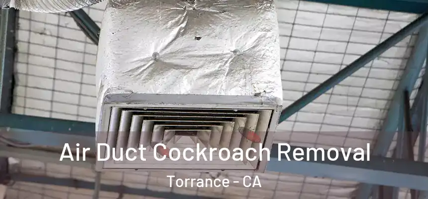 Air Duct Cockroach Removal Torrance - CA
