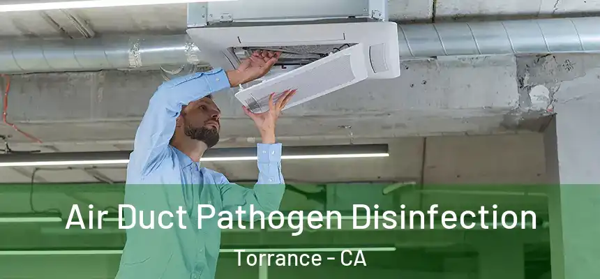 Air Duct Pathogen Disinfection Torrance - CA