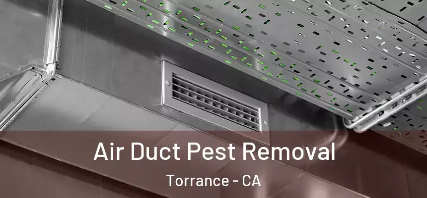 Air Duct Pest Removal Torrance - CA