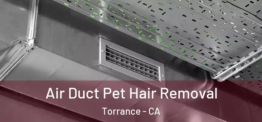 Air Duct Pet Hair Removal Torrance - CA