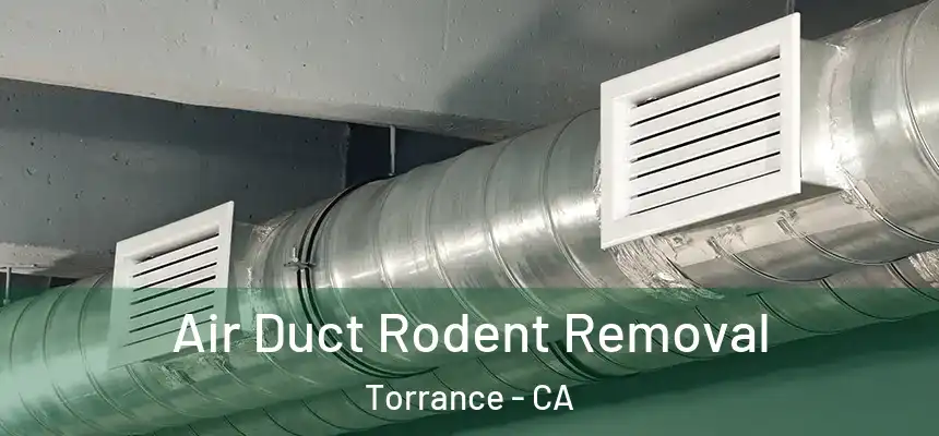 Air Duct Rodent Removal Torrance - CA