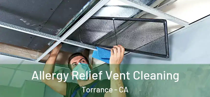Allergy Relief Vent Cleaning Torrance - CA