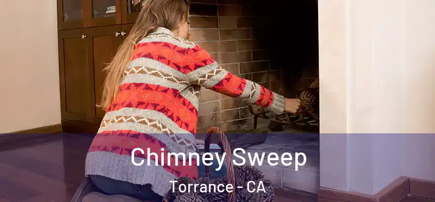 Chimney Sweep Torrance - CA