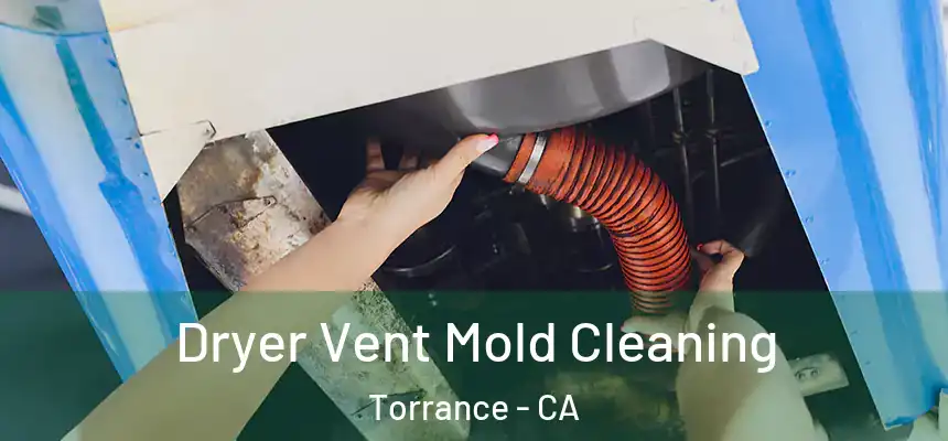 Dryer Vent Mold Cleaning Torrance - CA