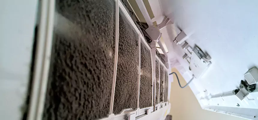 Preventive Air Duct Bacteria Removal in Torrance