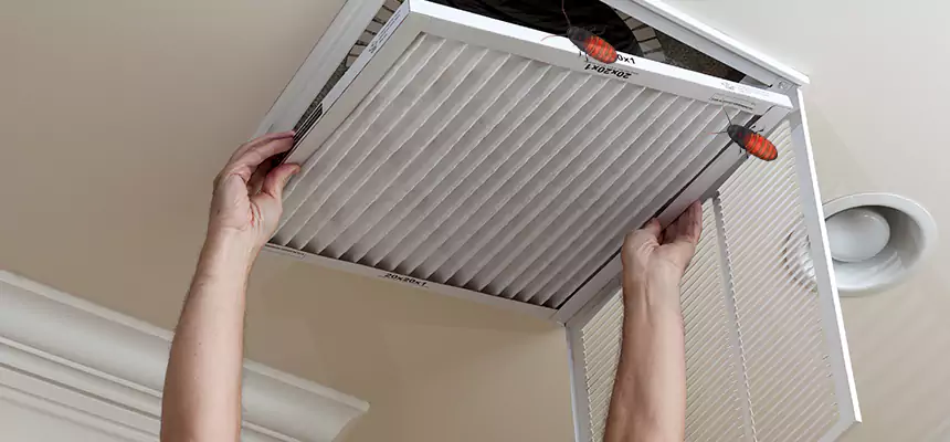 Preventive Cockroach-Proofing for Ducts in Torrance