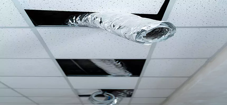 Affordable HVAC Sanitizing After Pest Removal in Torrance