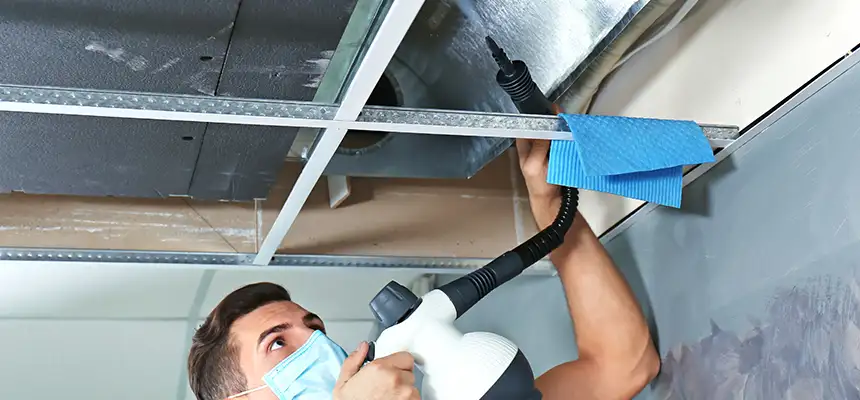 Our Air Duct Rodent Removal Services in Torrance, CA
