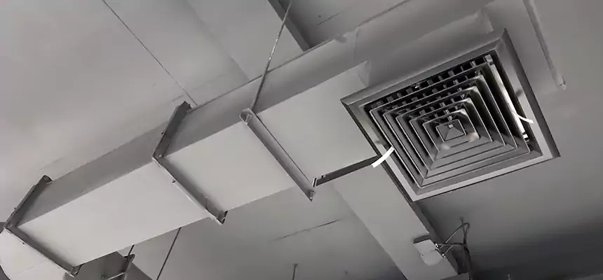 Our Pest Removal From Ducts Services in Torrance, CA