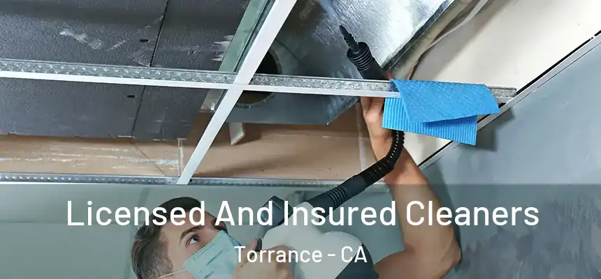 Licensed And Insured Cleaners Torrance - CA