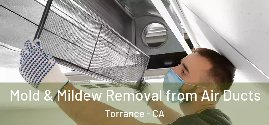 Mold & Mildew Removal from Air Ducts Torrance - CA