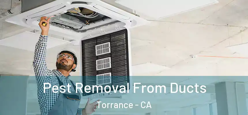 Pest Removal From Ducts Torrance - CA