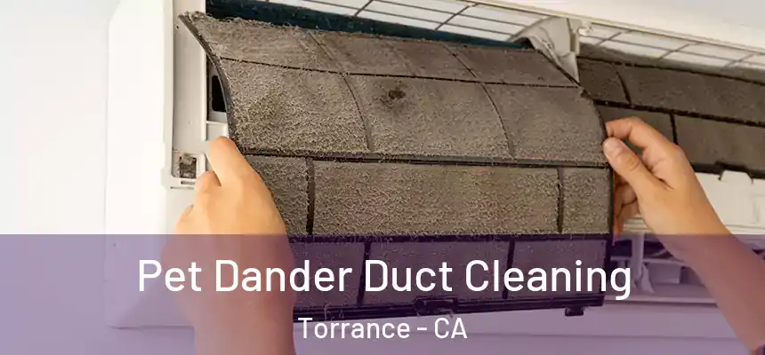Pet Dander Duct Cleaning Torrance - CA
