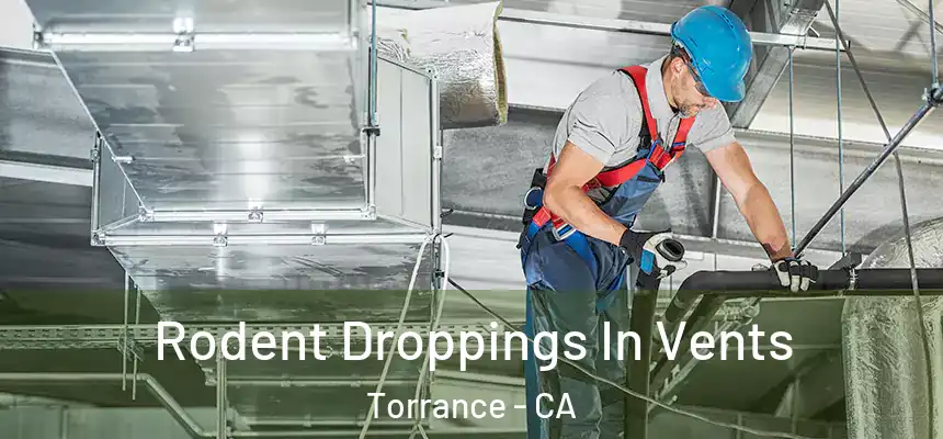 Rodent Droppings In Vents Torrance - CA