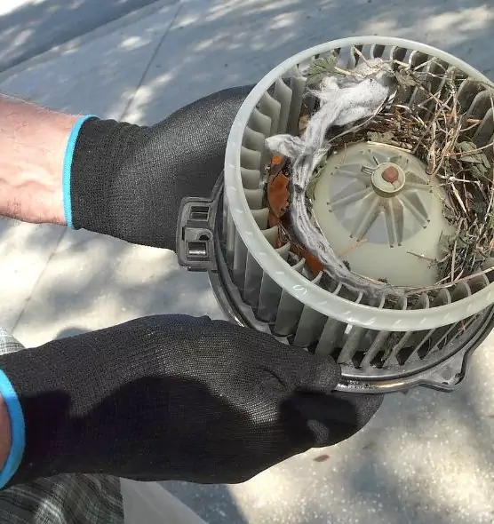 About Air Duct Mice Removal in Torrance, CA