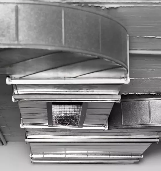 Professional Air Duct Pest Removal in Torrance, CA