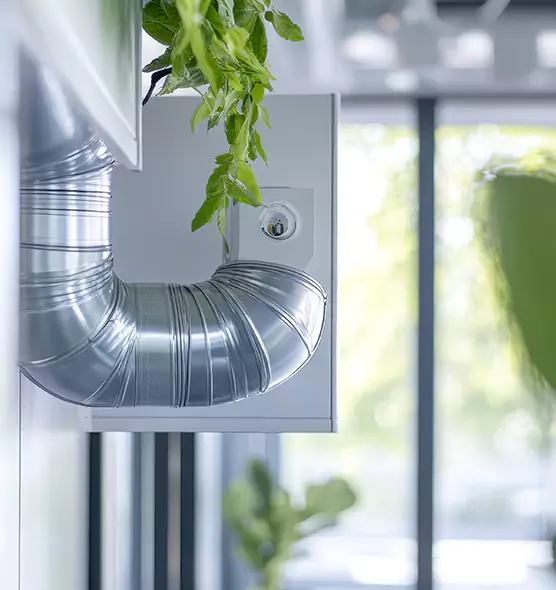 Professional Eco-Safe Dryer Vent Cleaning in Torrance, CA