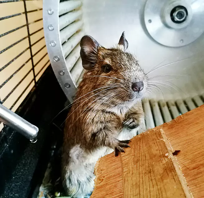 Why Homeowners & Businesses Trust Us Torrance, CA